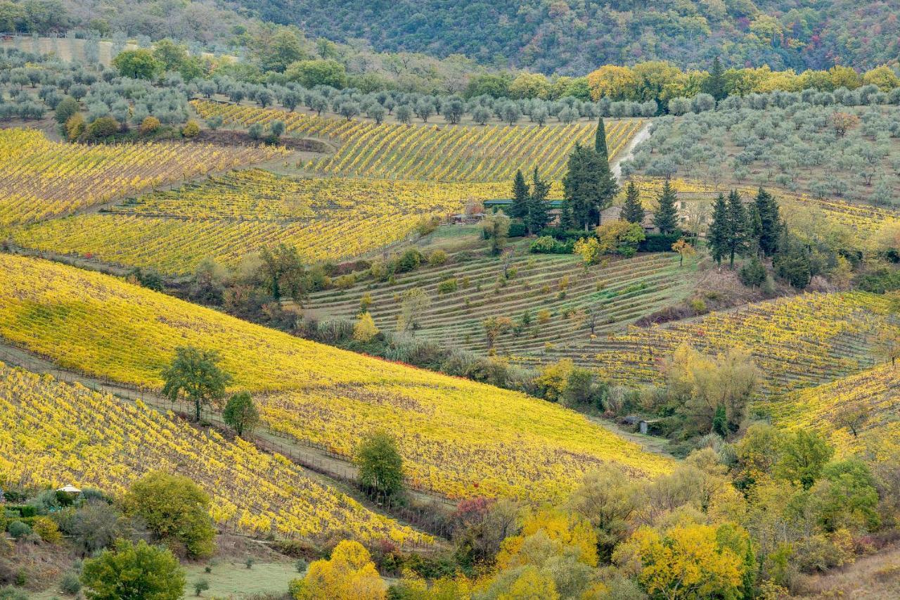 Terre Di Baccio Bed and Breakfast Greve in Chianti Exteriör bild