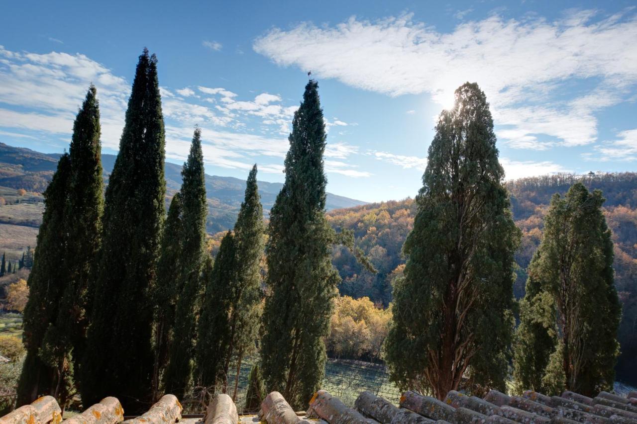 Terre Di Baccio Bed and Breakfast Greve in Chianti Exteriör bild