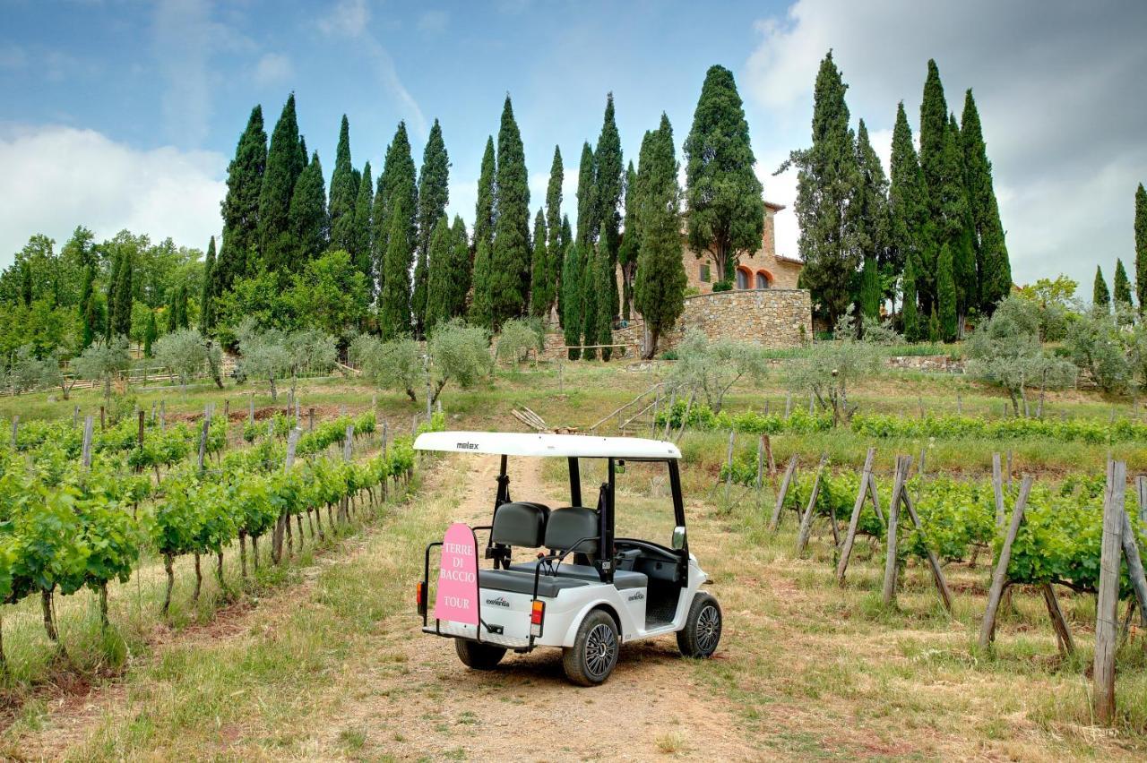 Terre Di Baccio Bed and Breakfast Greve in Chianti Exteriör bild