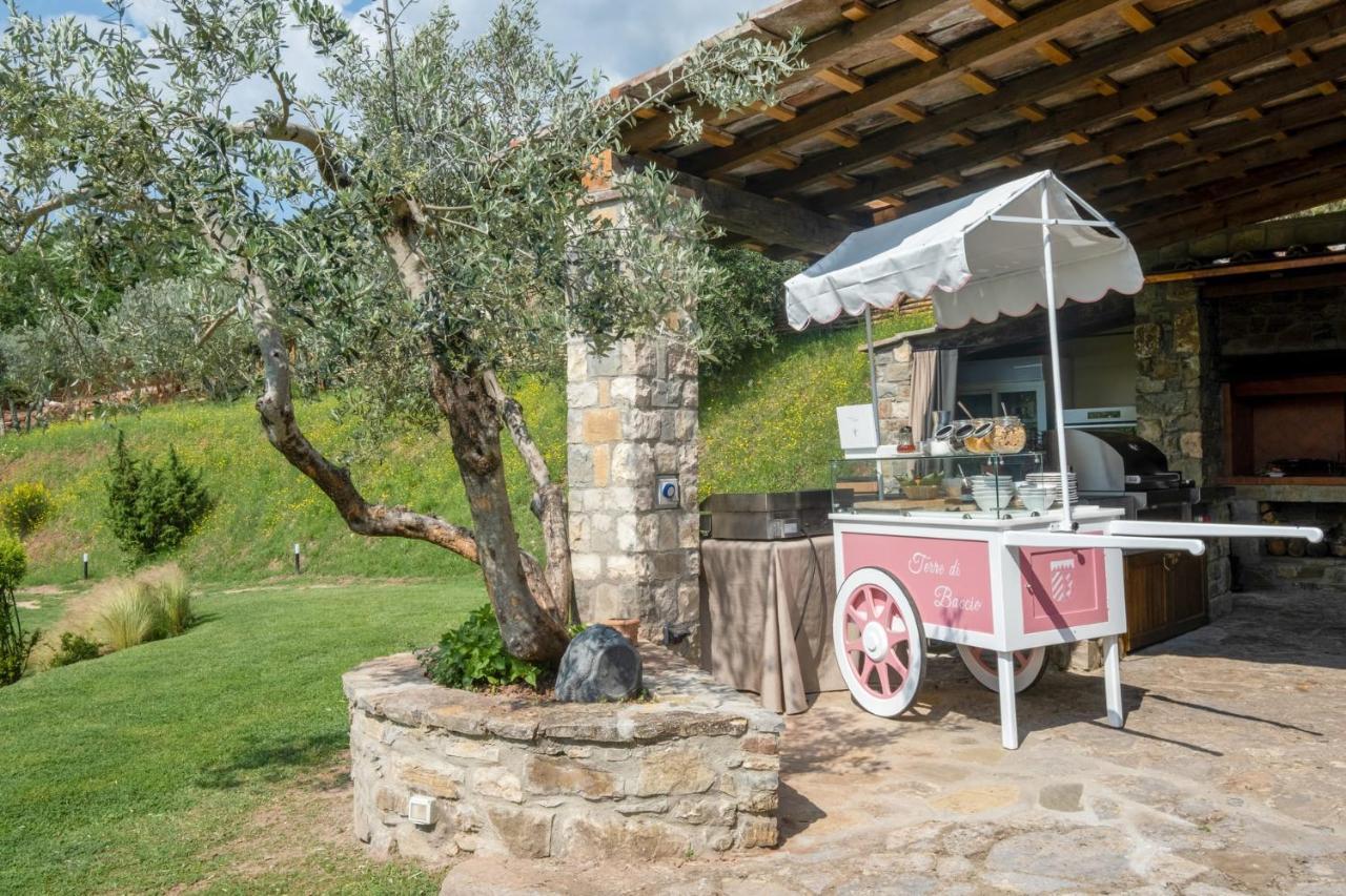 Terre Di Baccio Bed and Breakfast Greve in Chianti Exteriör bild